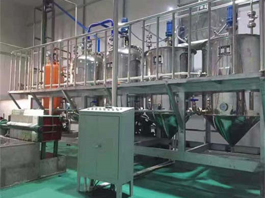 Equipo de máquina de extracción de aceite de cocina para varias semillas con ISO CE 86 13419864331